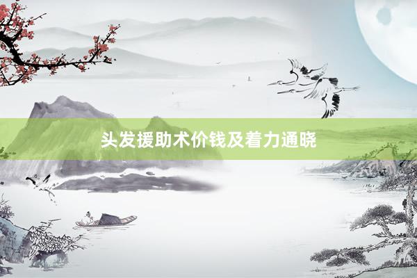 头发援助术价钱及着力通晓